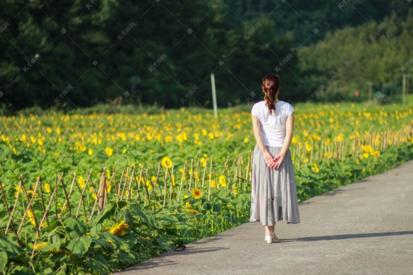 武汉老街茶馆寻幽探秘地图 武汉老街茶馆寻幽探秘地图